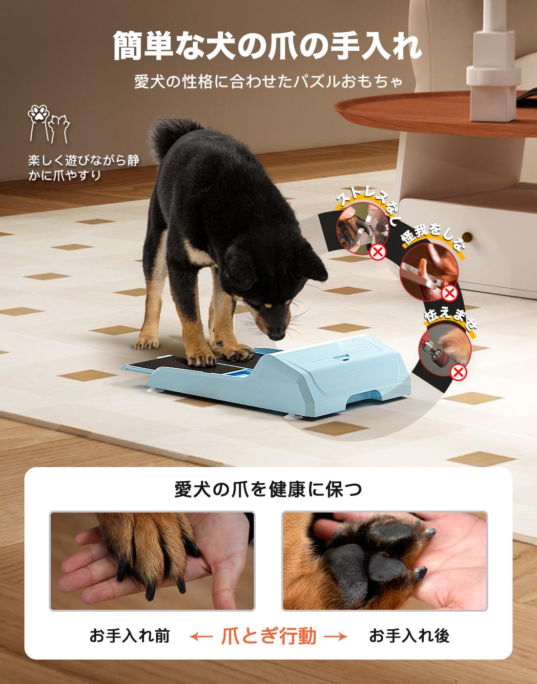 Amazon | WOWOOF PET 犬用スクラッチボード(トリーツボックス2枚付き